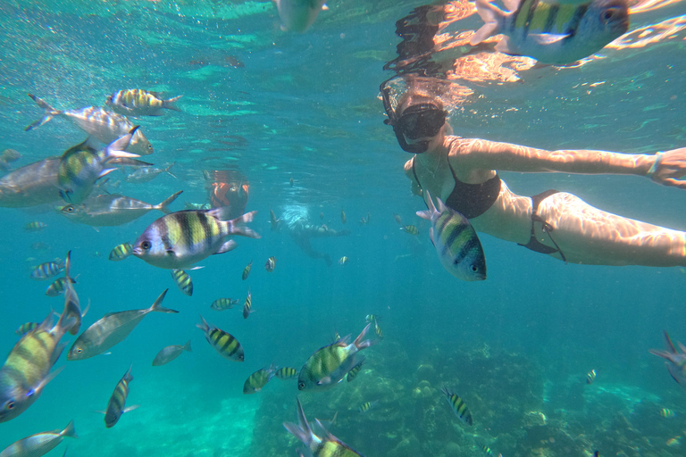 From Khao Lak: Phi Phi, Maya bay & Khai island Day Trip