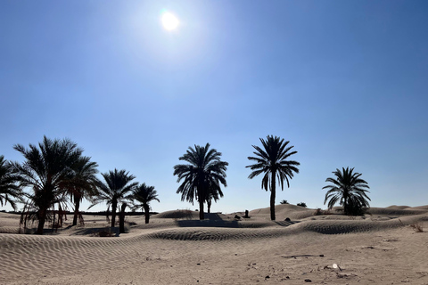 Two-Day Sahara Bivouac Adventure from Djerba