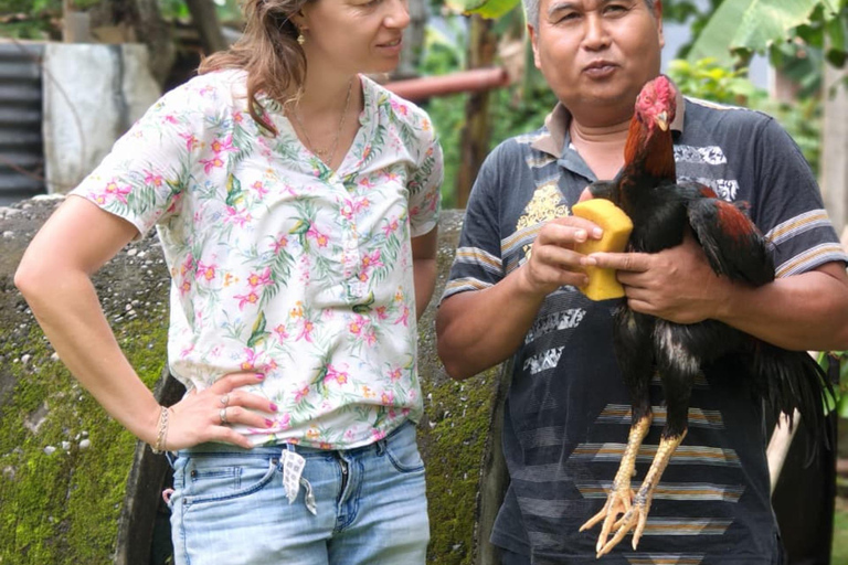 Yogyakarta: Kulon Progo Village Cycling Tour with Snacks