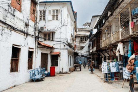 Pemba: Privétour met gidsZanzibar: Salaam Cave Aquarium en Stone Town wandeltour