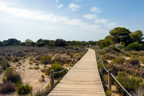 Ibiza: Formentera Tour with Meals Water Activity & Free Time