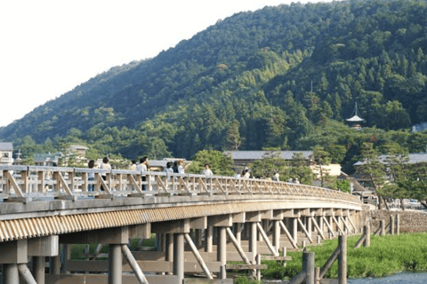 Von Osaka aus: Kyoto Ganztagestour Private Tour nach MaßToyota Alphard 0-5