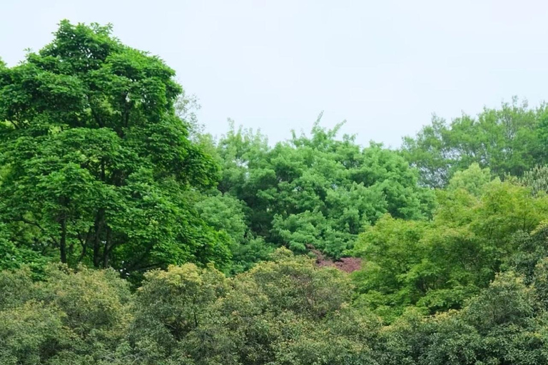 Hangzhou Botanical Garden Entry Ticket with QR Code