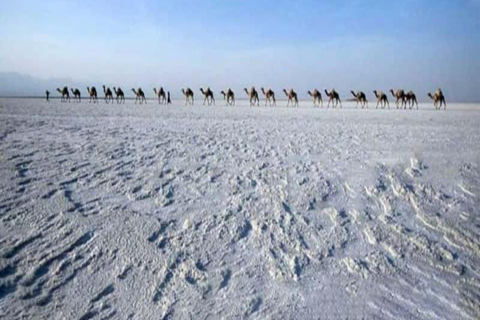 Mekele: 3-Day Danakil Depression Tour with Camping