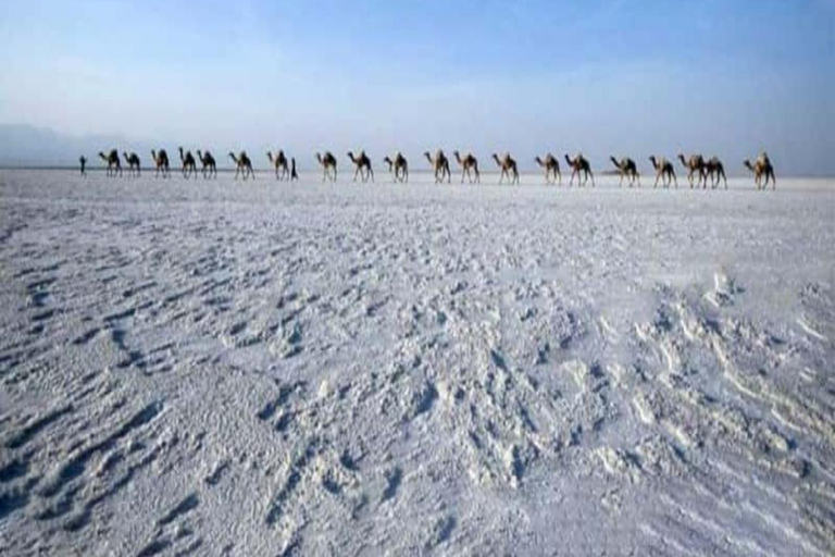 Mekele: 3-Day Danakil Depression Tour with Camping