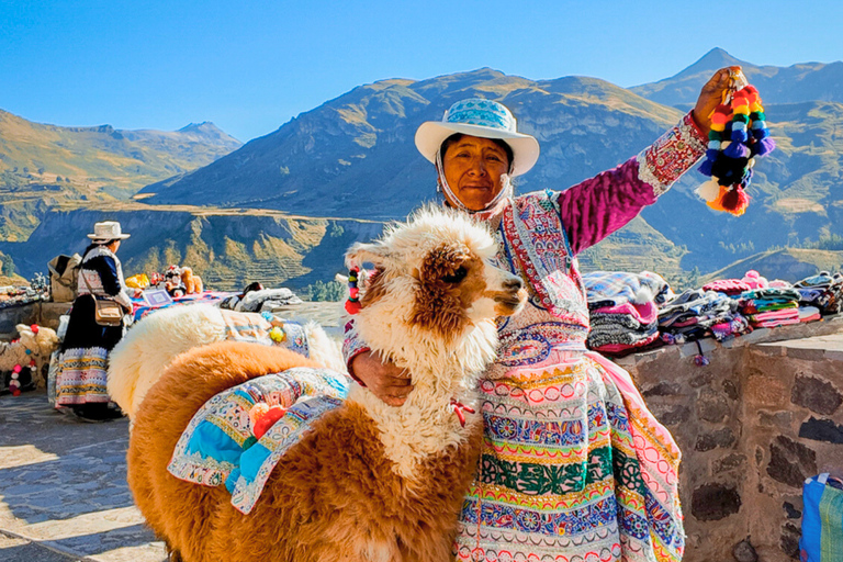 Arequipa: 2-Day Colca Valley Tour with Puno Transfer