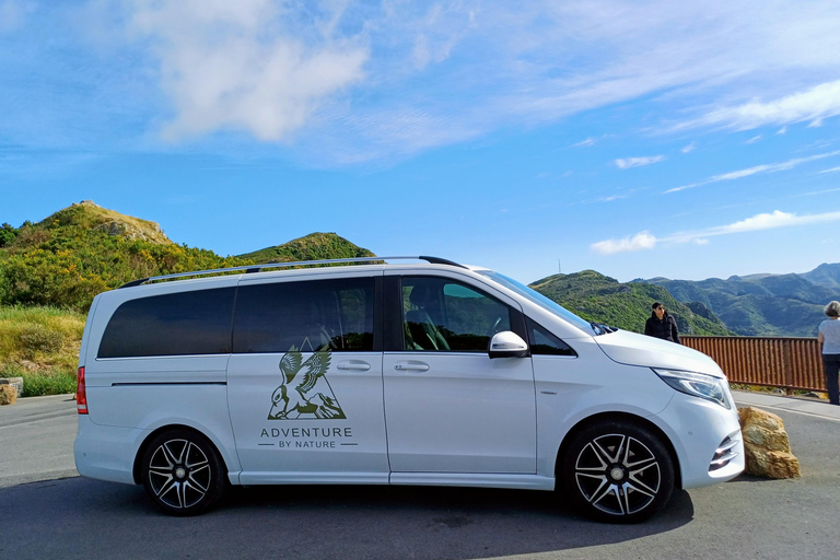 Kaikōura: Small Group Tour- optional Whale, Dolphin, Zipline Kaikōura Day Tour + Swim with Dolphins