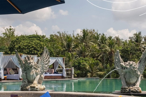 Ubud: tour in quad, rafting e piscina a sfioroTour in quad tandem, rafting e piscina a sfioro