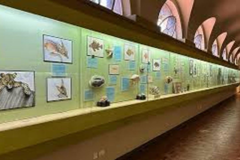 Nairobi: National Museum & Snake Park Guided Tour