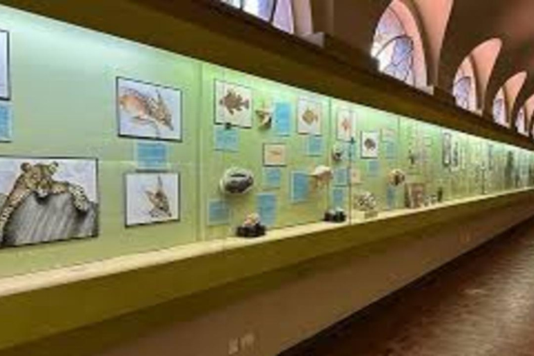 Nairobi: National Museum & Snake Park Guided Tour