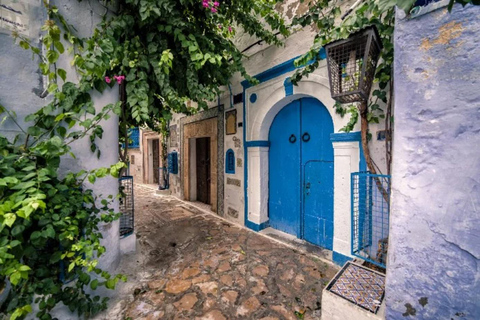 Tunis: Kulturelle Tour durch die ikonische Medina und das Stadtzentrum