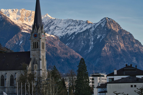 From Zurich: Rhine Falls & Liechtenstein Private Tour