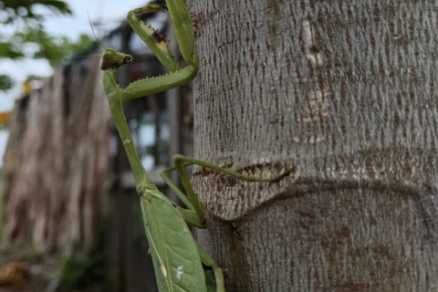 UTV & Horseback Tour with Wildlife Views from Cartagena