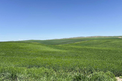 Tbilisi: Birdwatching Tour with Guide