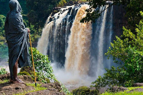Ethiopia: 5-Day Ultimate Safari Expedition Guided Tour