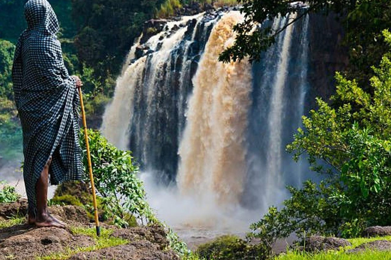 Ethiopia: 5-Day Ultimate Safari Expedition Guided Tour