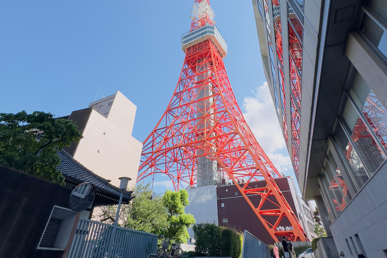 2 Tage Tokio &amp; Mt Fuji Anpassbare Tour mit englischem Fahrer