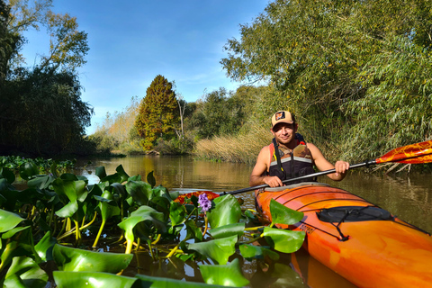 Tigre Delta: Island Life Full-Day Kayaking & Jungle Walk