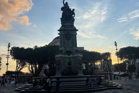 Manaus: Indigenous Culture and History Guided Tour