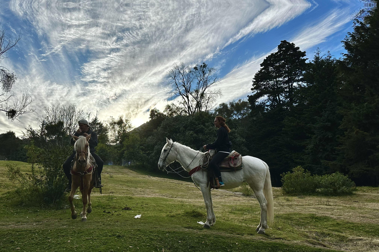 LA MEILLEURE ÉQUITATION AVEC DES COW-BOYS PROFESSIONNELS