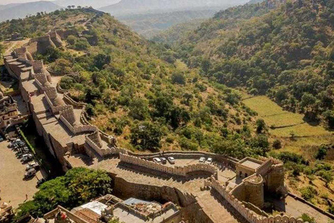 Excursion d'une journée au fort de Kumbhalgarh et safari animalier depuis Udaipur