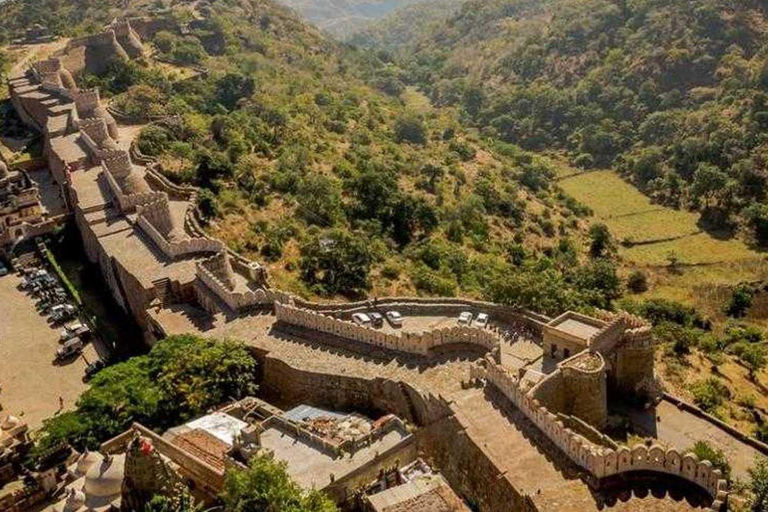 Excursion d'une journée au fort de Kumbhalgarh et safari animalier depuis Udaipur