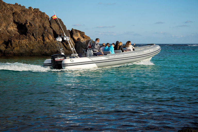 Fuerteventura: 1 hour private mini-cruise on Lobos Island