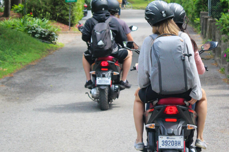 Quebec City - Scooter Guided Tour on Ile d'Orléans Quebec City: Scooter Tour on Ile d'Orleans chocolate berries