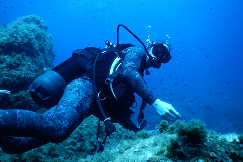Pianottoli-Caldarello: Your first dive in the Mediterranean Pianottoli-Caldarello: Introductory Dive in the Mediterranean