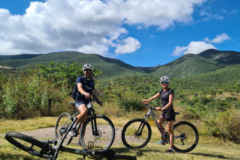 MTB Bike Tour: Tule Tree through the country-side