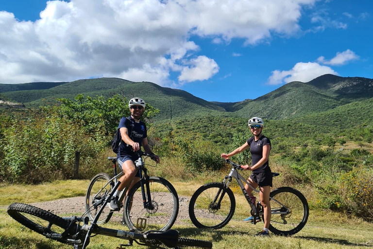MTB Bike Tour: Tule Tree through the country-side