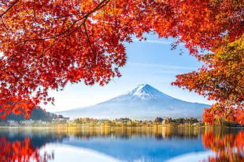 The best Fuji Five Lakes Cherry blossom experiences - 2026
