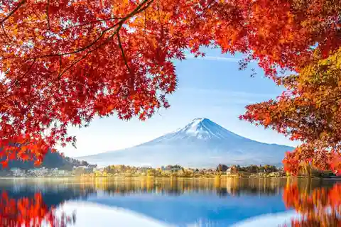 From Tokyo: Mount Fuji & Hakone Customize Private Day Tour