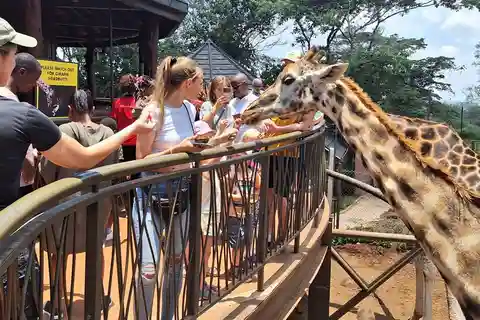 Nairobi: Safari Walk and Giraffe Center Day Tour
