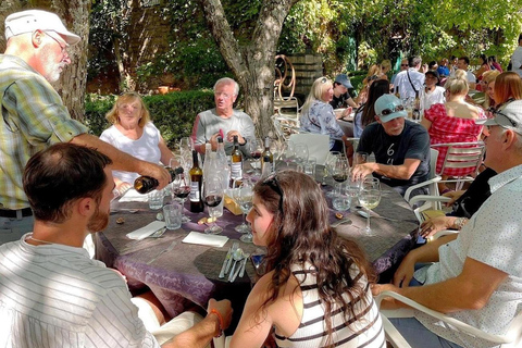 Half Day Douro Valley Tour with Cruise and Winery Lunch