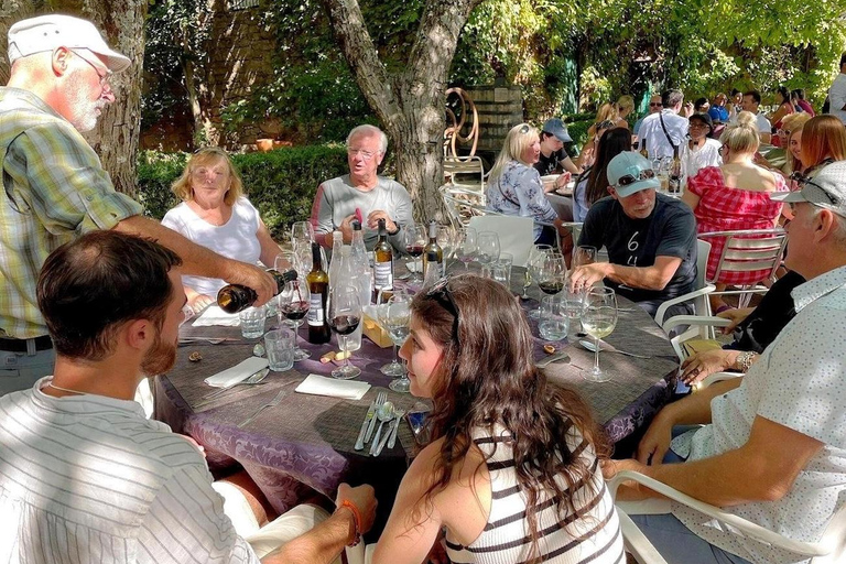 Half Day Douro Valley Tour with Cruise and Winery Lunch