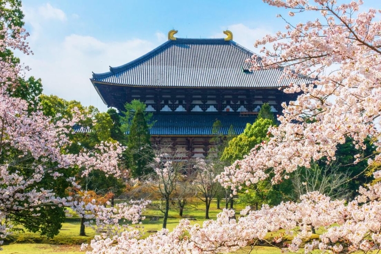 Osaka: Nara, Todaiji, Matcha Experience and Hot Spring Tour