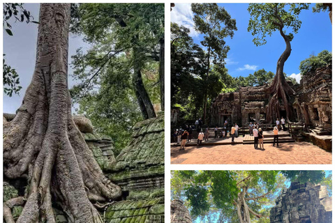 3 dias: Visita a Angkor Wat e descoberta do campo