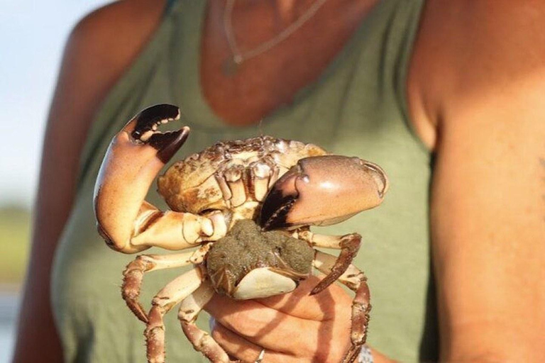 Charleston: Blue Crabbing Excursion with Crab Boil