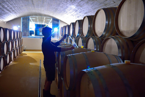 Le Cap : Circuit des vignobles de Stellenbosch et Franschhoek