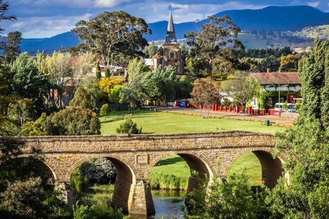 Hobart: Mount Wellington and Richmond Guided Tour
