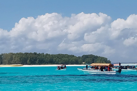 Zanzibar: Snorkeltrip naar Mnemba eiland vanuit Nungwi