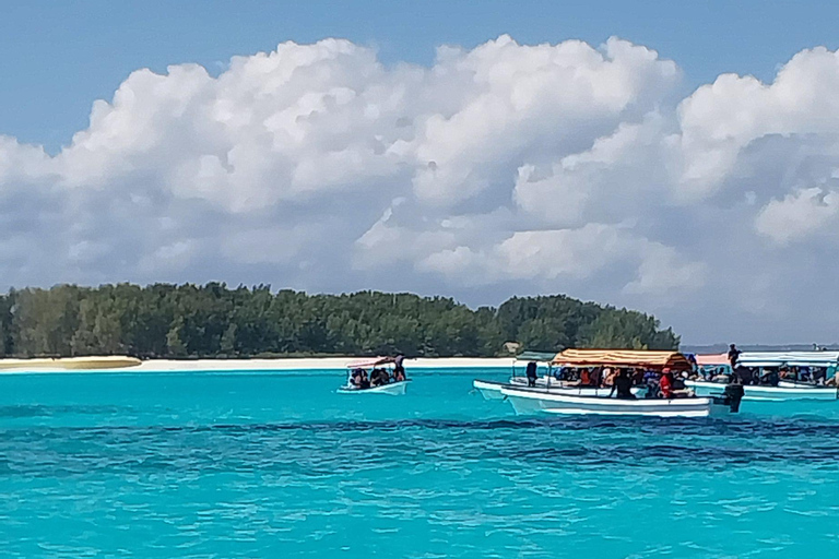 Zanzibar: Mnemba Island Snorkeling Trip from Nungwi