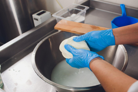 Vico Equense: Provolone del Monaco DOP Cheese Tasting