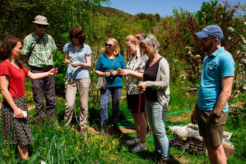 Zagreb: Science Tours - Early Bird