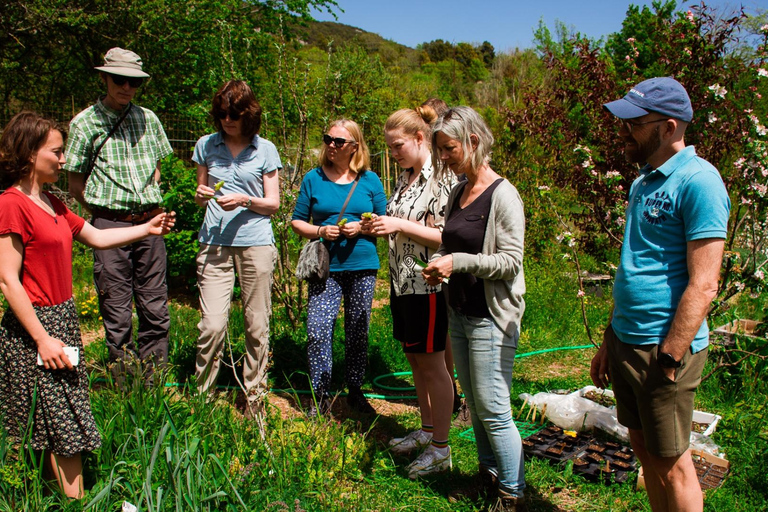Zagreb: Science Tours - Early Bird