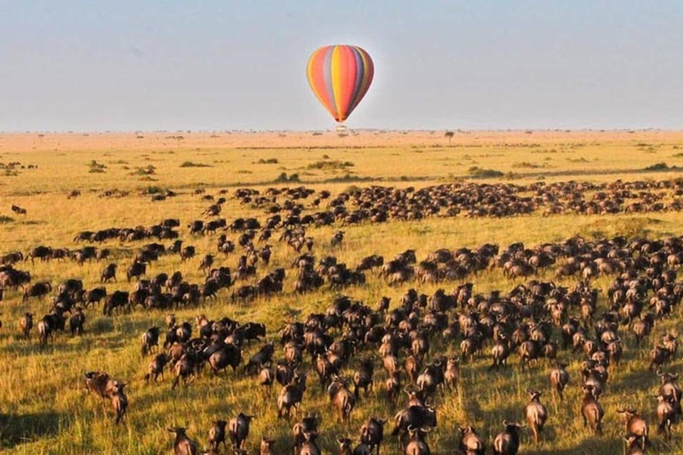 De Nairobi Safari: 4 dias em Maasai Mara e Lago Nakuru