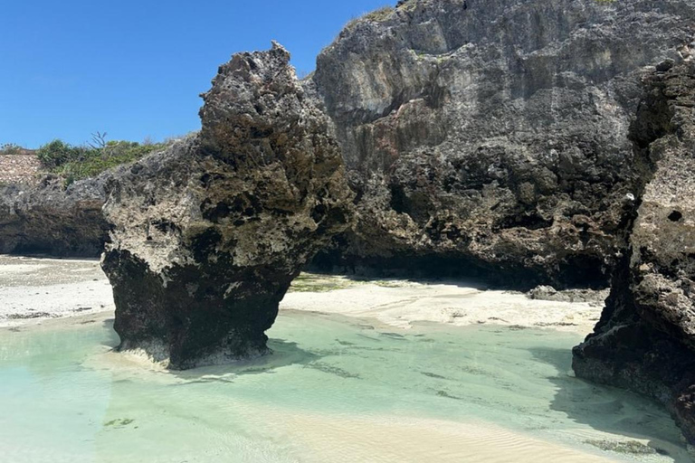 Zanzibar: Floresta de Jozani, centro de borboletas e praia de MtendeTour particular com traslado de ida e volta no hotel incluído