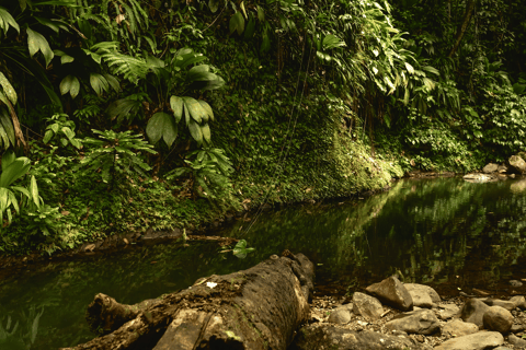 Full day tour: the best of the island w/photos drone sunset Full day tour: the best of the island w/photos drone sunset