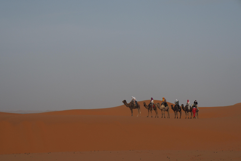 Marrakech to Fes 3 day Desert Tour Camel & luxury Tente Marrakech to Fes 3 day Desert Tour Standard Desert Tents